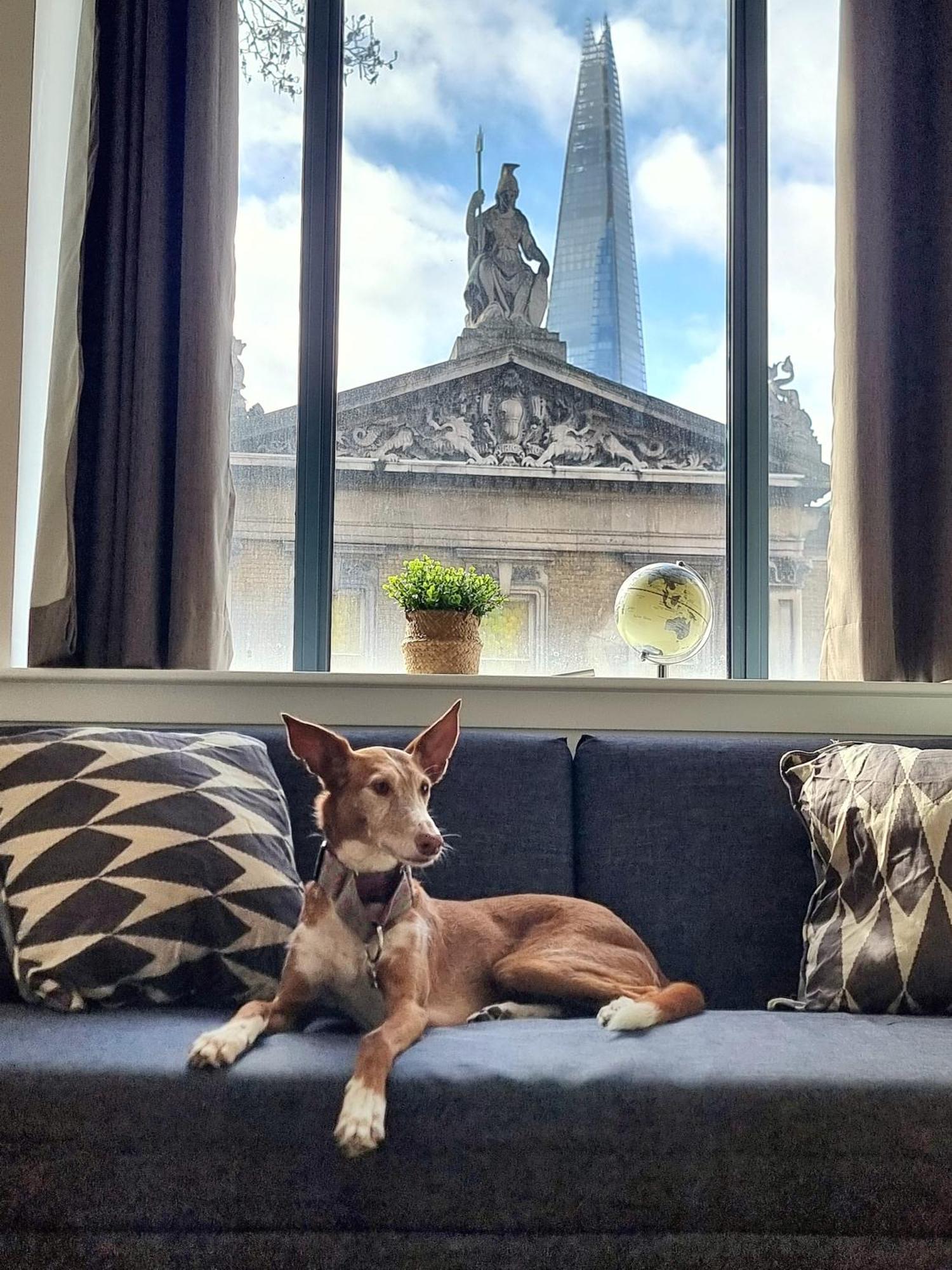 Shard View Apartament *
